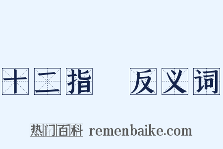 十二指腸反义词是什么意思的图片